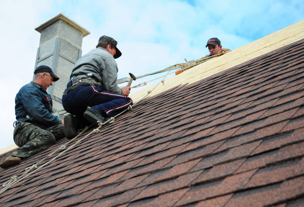 Best Local Roofing Companies  in Abbotsford, WI